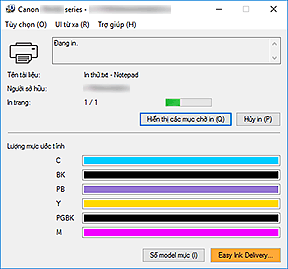 hình: Màn hình trạng thái Canon IJ