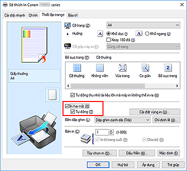 hình: Hộp kiểm In hai mặt trên tab Thiết lập trang