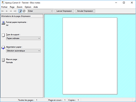 figure&nbsp;: Aperçu Canon IJ
