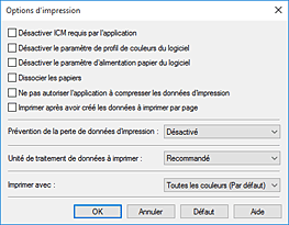 figure&nbsp;: Boîte de dialogue Options d'impression