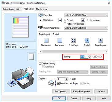 figura:Scaling din fila Page Setup