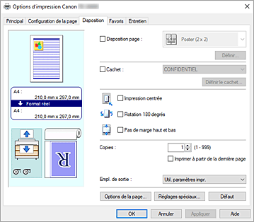 Figure : onglet Disposition