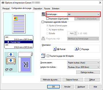 figure : Format page dans l'onglet Configuration de la page