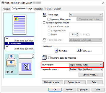 figure : Alimentation papier dans l'onglet Principal