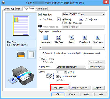 фигура: „Print Options...” в раздела „Page Setup”