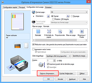 figure : Options d'impression... dans l'onglet Configuration de la page