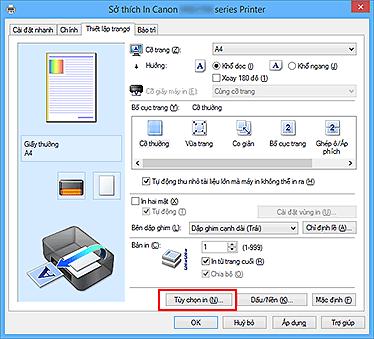 hình: Tùy chọn in... trên tab Thiết lập trang