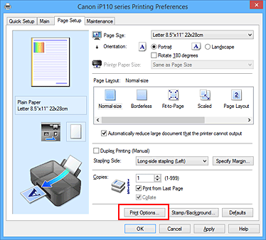 фигура: „Print Options...” в раздела „Page Setup”