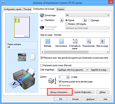 figure : Options d'impression... dans l'onglet Configuration de la page