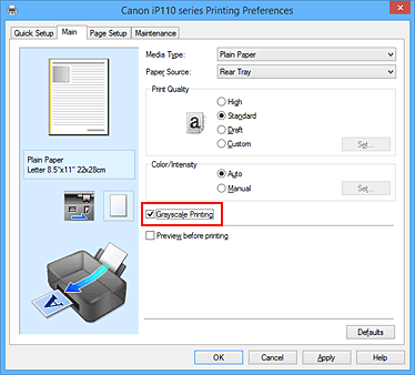 pav.: Spausdinimo pilkio pustoniais žymimasis langelis pagrindinių nuostatų skirtuke