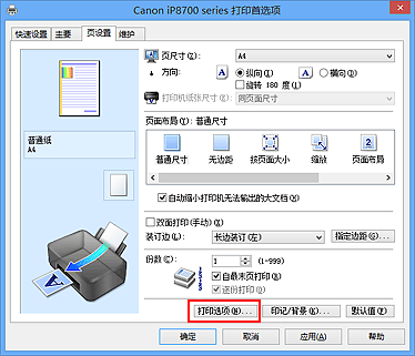 插图：“页设置”选项卡上的“打印选项...”