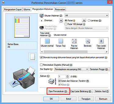 gambar: Opsi Pencetakan... pada tab Pengesetan Halaman