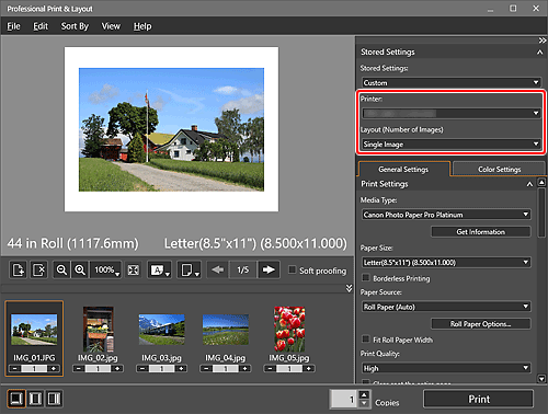 figura: schermata principale di Professional Print &