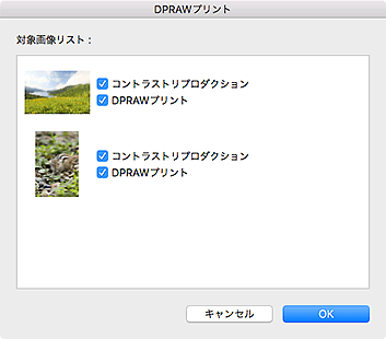 図：DPRAWプリントダイアログ