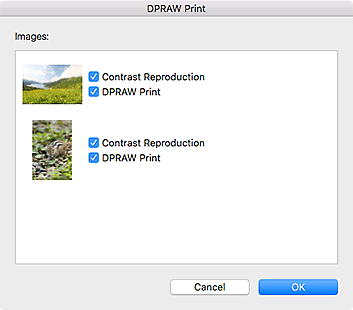 figura: caixa de diálogo Impressão DPRAW