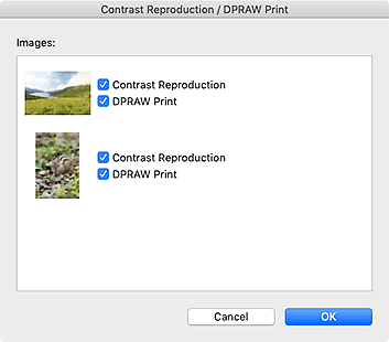 figure: DPRAW Print dialog