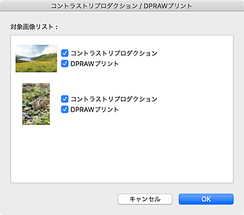 図：DPRAWプリントダイアログ