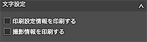 図:基本設定シート(文字設定)
