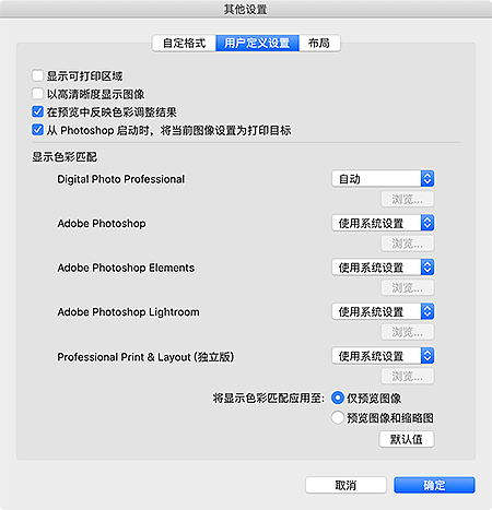 插图:“其他设置”对话框