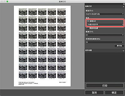 插图：“图案打印”窗口