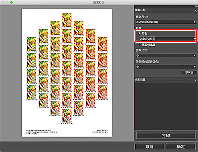插图：“图案打印”窗口