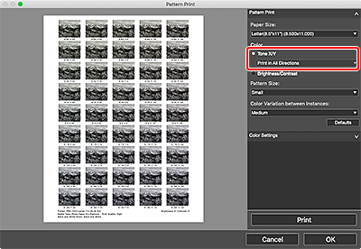 Abbildung: Fenster Musterdruck