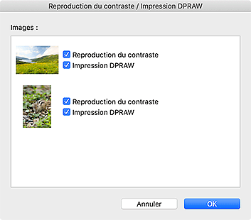 figure : Reproduction du contraste / Impression DPRAW
