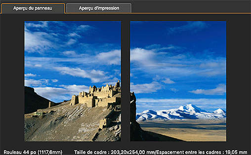 figure : Zone Aperçu (Habillage d'exposition)