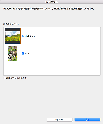 図：HDRプリントダイアログ