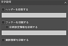 図：基本設定シート（文字設定）