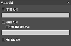 그림: [일반 설정] 탭(텍스트 설정)
