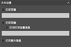 插图：&ldquo;基本设置&rdquo;选项卡(文本设置)