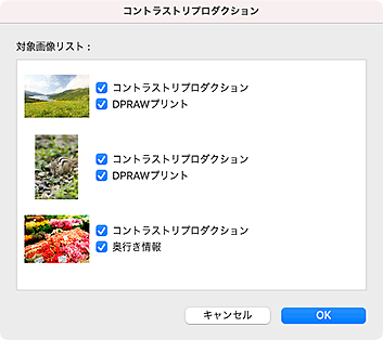 図：コントラストリプロダクションダイアログ