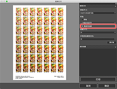 插图:“图案打印”窗口