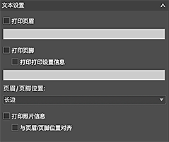 插图:“基本设置”选项卡(文本设置)