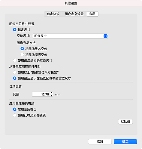 插图:“其他设置”对话框