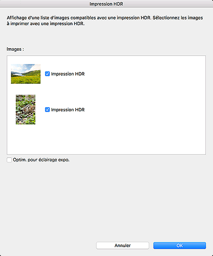 figure : Boîte de dialogue Impression HDR