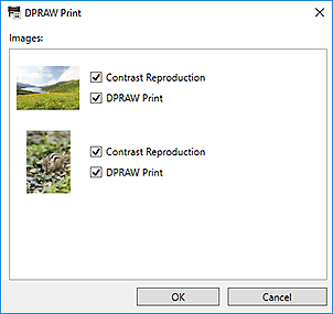 figura: finestra di dialogo Stampa DPRAW