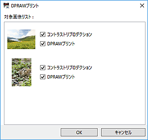 図：DPRAWプリントダイアログボックス