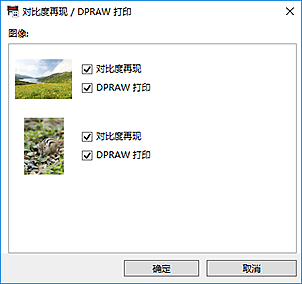 插图：“DPRAW 打印”对话框