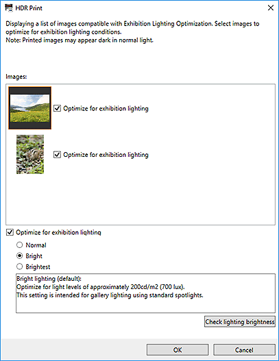 Abbildung: Dialogfeld „HDR-Druck“