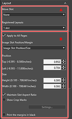 Imagen: Pestaña Configuración general (Formato)