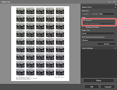 figura: Finestra Stampa motivo