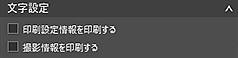 図:基本設定シート(文字設定)