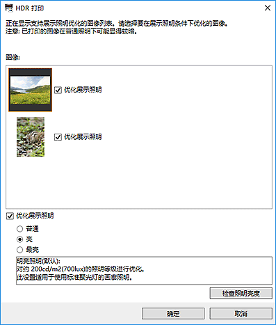 插图:“HDR 打印”对话框
