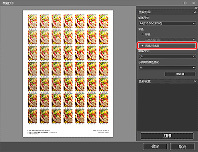 插图:“图案打印”窗口