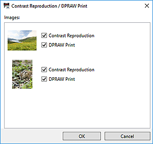 figura: Finestra di dialogo Riproduzione contrasto/Stampa DPRAW