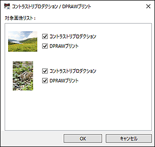 図:コントラストリプロダクション / DPRAWプリントダイアログボックス