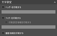 図:基本設定シート(文字設定)