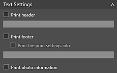 Рисунок: вкладка "Общие параметры" ("Параметры текста")